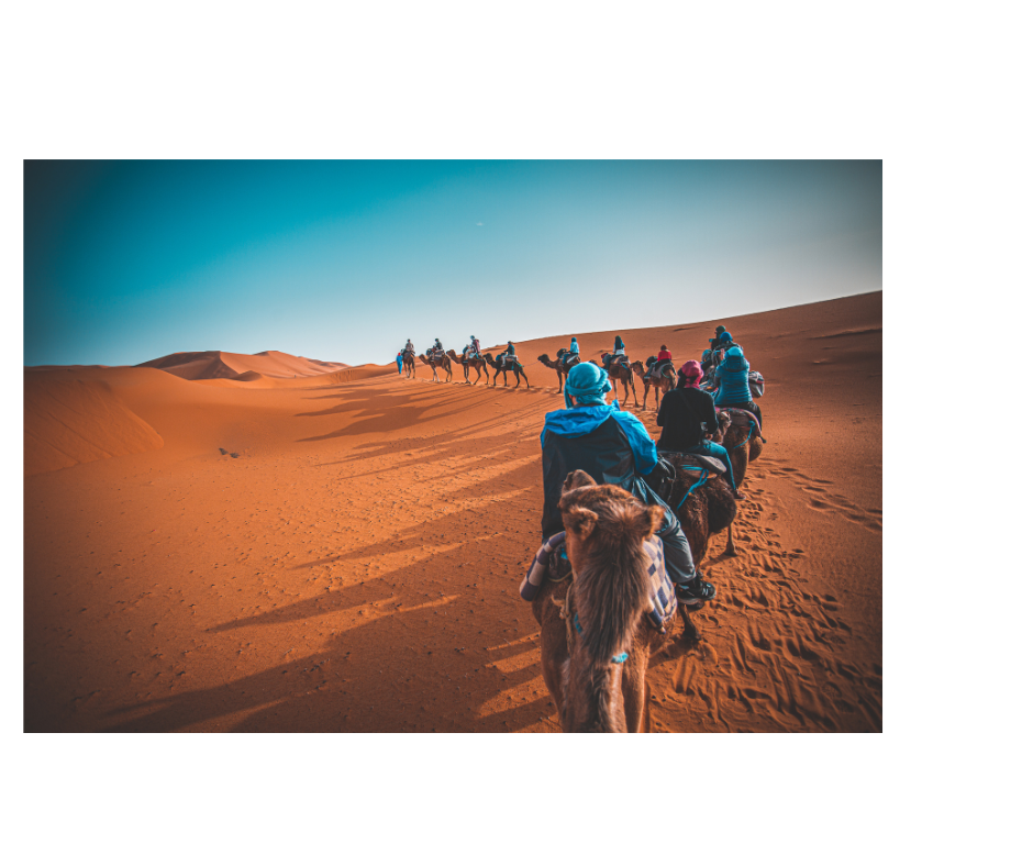 We are the best travel agency in Morocco for private driver hire, family holiday deals, and safe solo female travel arrangements.